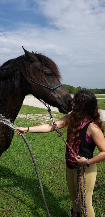 Hillsdale State Park Equestrian Camp 4