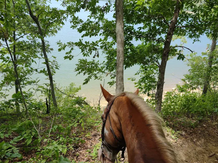 Hillsdale State Park Equestrian Camp 9