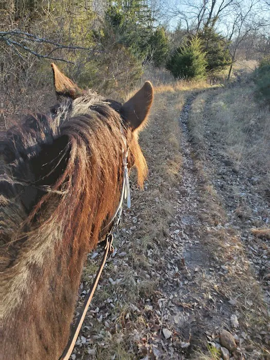 Hillsdale State Park Equestrian Camp 7