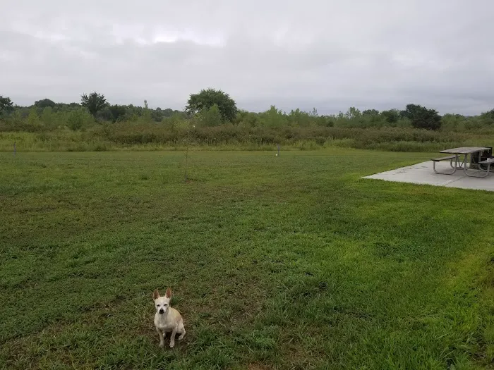 Scott Creek Campground 9