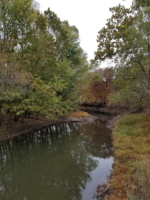 Scott Creek Campground 10