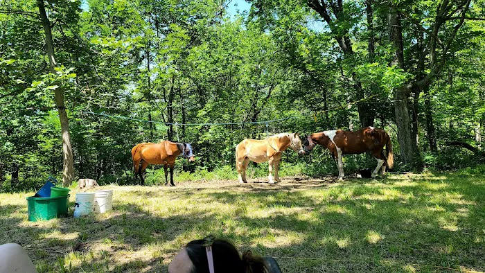 Green Country Cowboy Camp Meeting 7