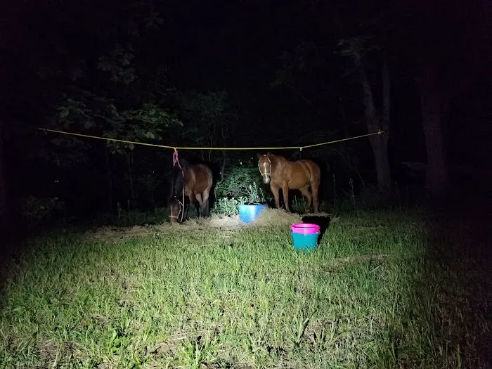 Green Country Cowboy Camp Meeting 10