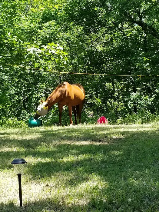Green Country Cowboy Camp Meeting 9