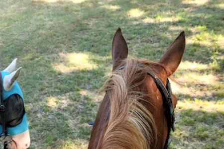 Green Country Cowboy Camp Meeting