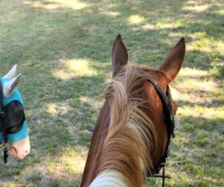 Green Country Cowboy Camp Meeting