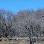 Card Creek Campground