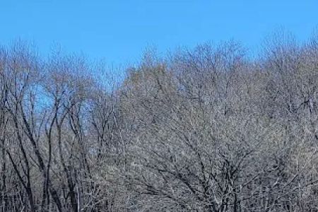 Card Creek Campground