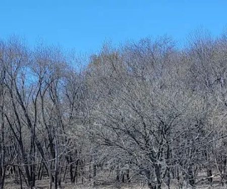 Card Creek Campground