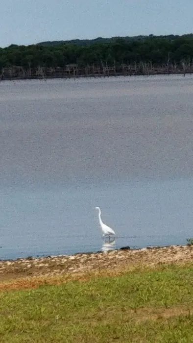 Washington Cove Park Campground 3
