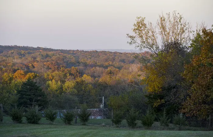 Homewood RV and Campground 1