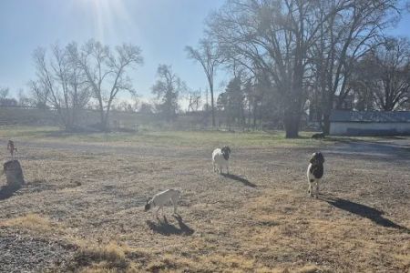 The Dam Campsites