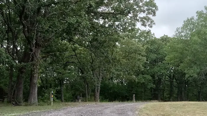 Manns Cove Campground 6