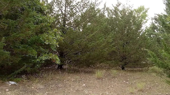 Manns Cove Campground 8