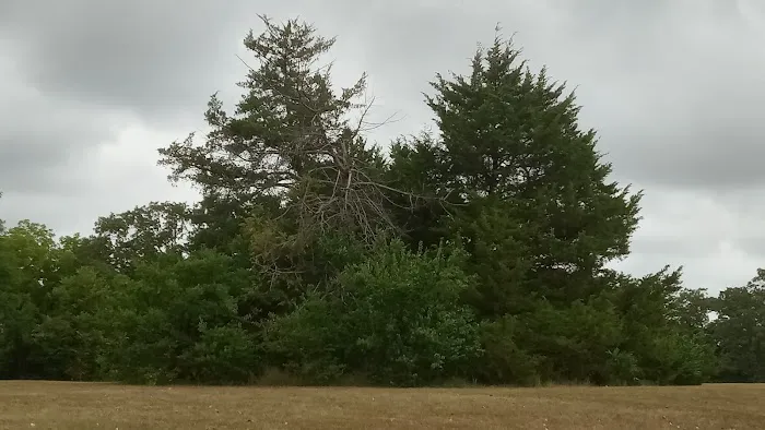 Manns Cove Campground 10
