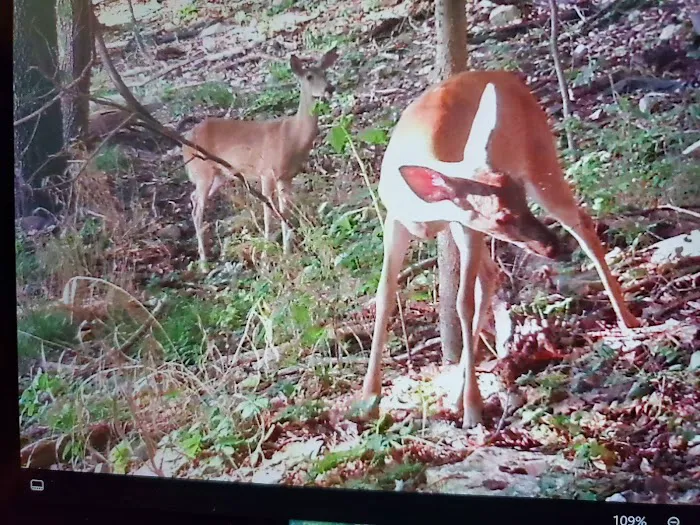 Indian Springs Park 3