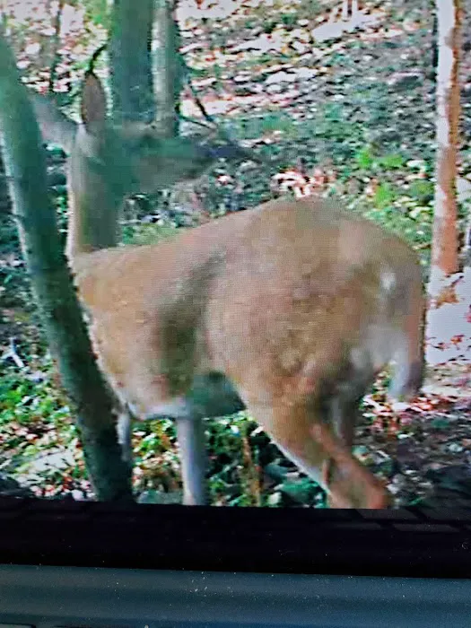 Indian Springs Park 1