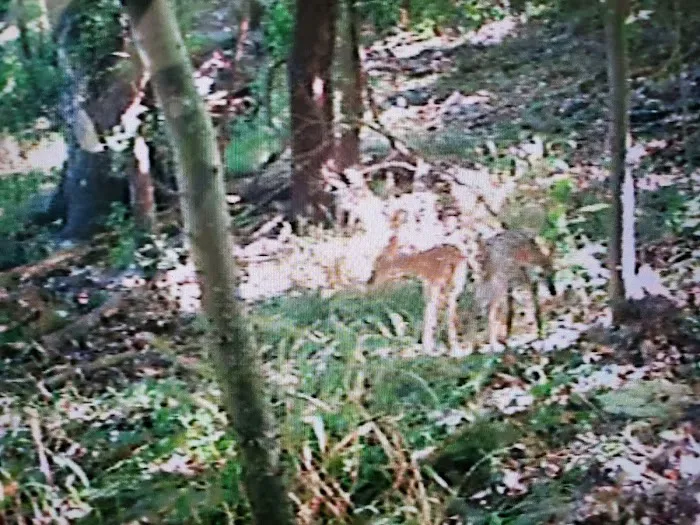Indian Springs Park 7
