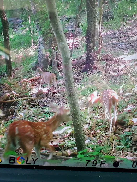 Indian Springs Park 8