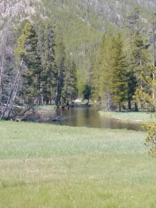 Big Pine RV Park SOLD 10? Many years ago! My Dad, previous owner died 1 year ago! 4