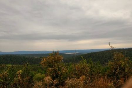 US Forestry Department