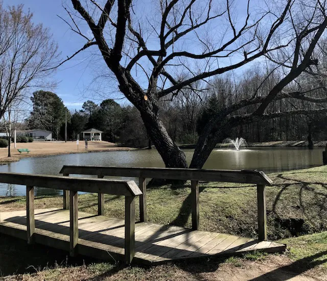 Forest Lake Pointe 10