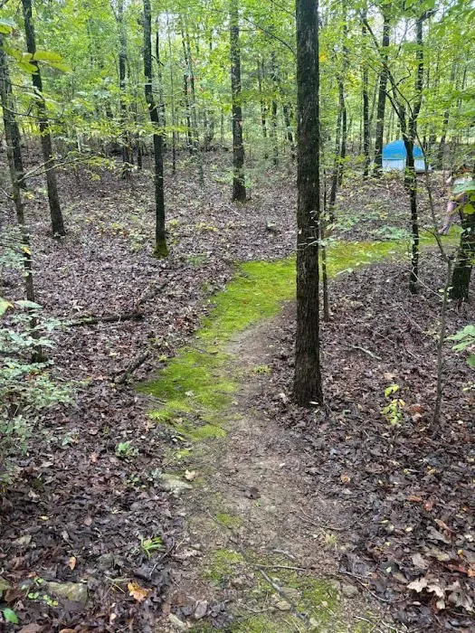 Barefoot Gardens Homestead, Camp and Learning Center 4