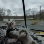 Gold Creek Landing RV Park