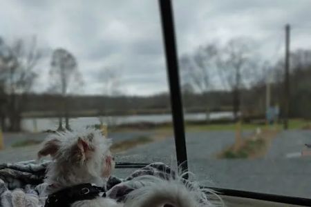Gold Creek Landing RV Park