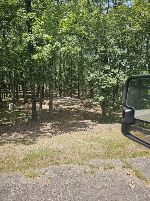 Mill Creek Campsite 4