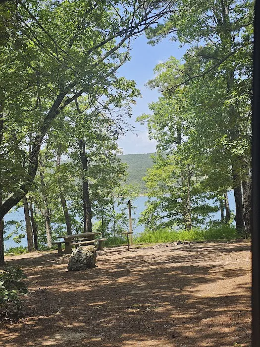 Mill Creek Campsite 6