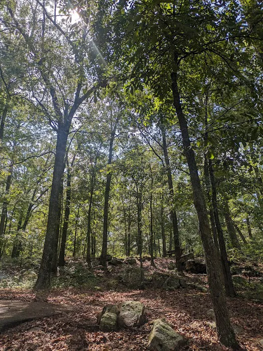 Mill Creek Campsite 10