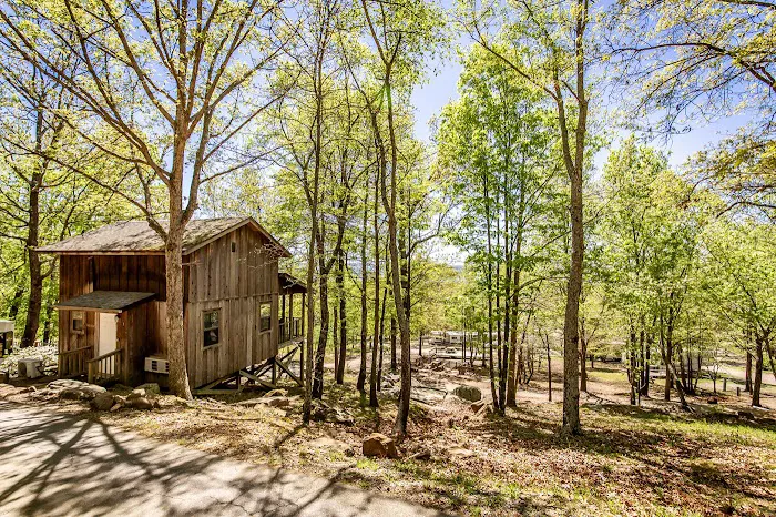 Mockingbird Mountain Resort 10