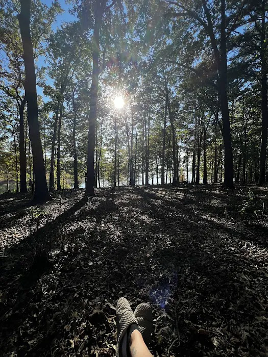 Devils Fork Recreation Area 10