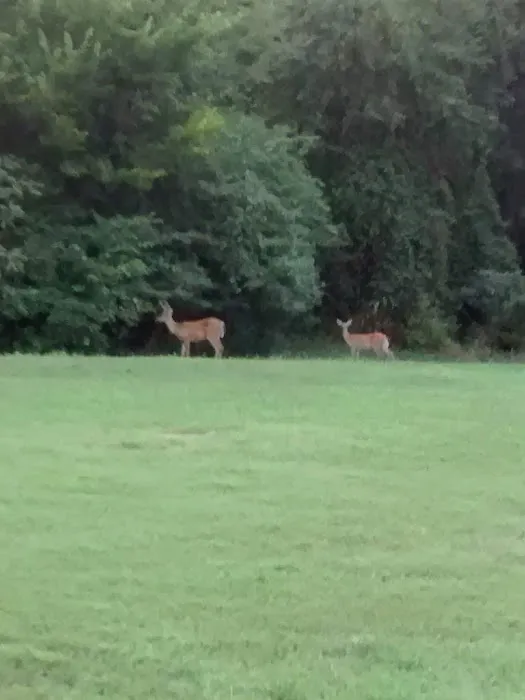 Devils Fork Recreation Area 2