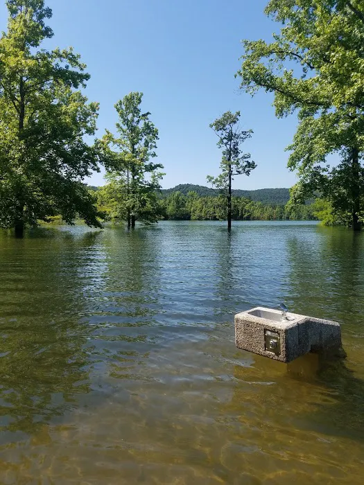 Cove Creek Recreation Area & Campground 1