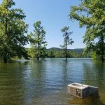 Cove Creek Recreation Area & Campground