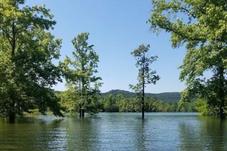 Cove Creek Recreation Area & Campground