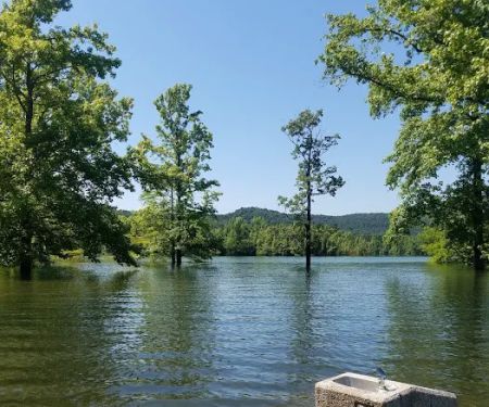 Cove Creek Recreation Area & Campground
