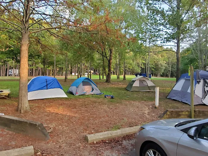 Cove Creek Recreation Area & Campground 5