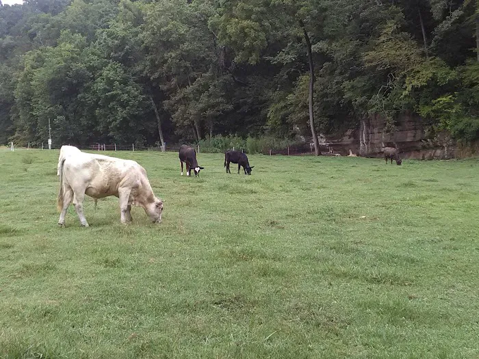 ropers campground, LLC 3