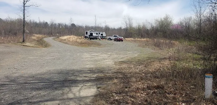 Greens Lake Camp 8
