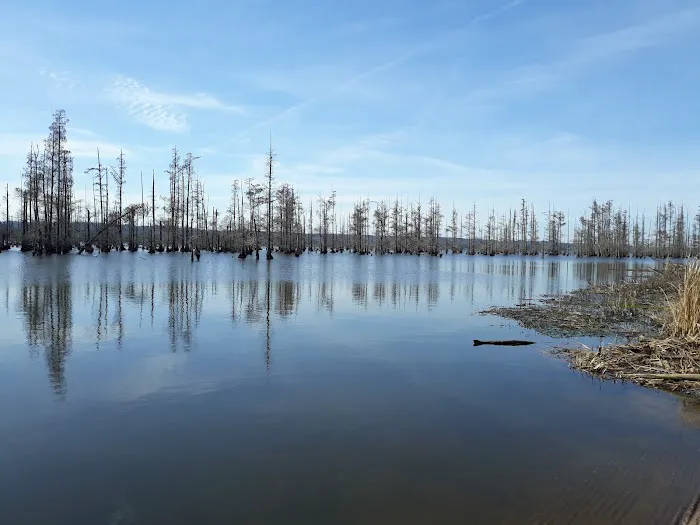 Greens Lake Camp 6