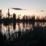 Greens Lake Camp