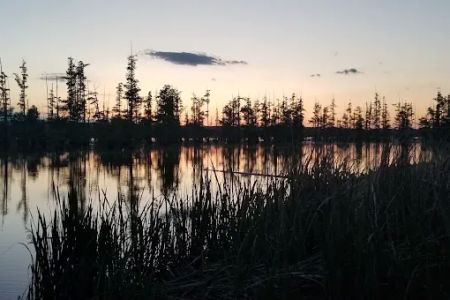 Greens Lake Camp