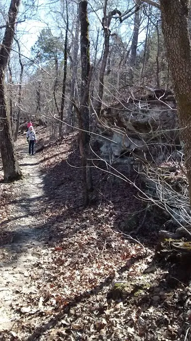 Matney Campground 6