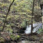 Misty Mornings Arkansas Cabins and RV Sites