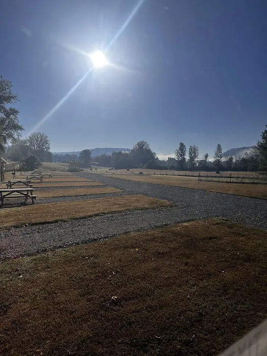 Misty Mornings Arkansas Cabins and RV Sites 3