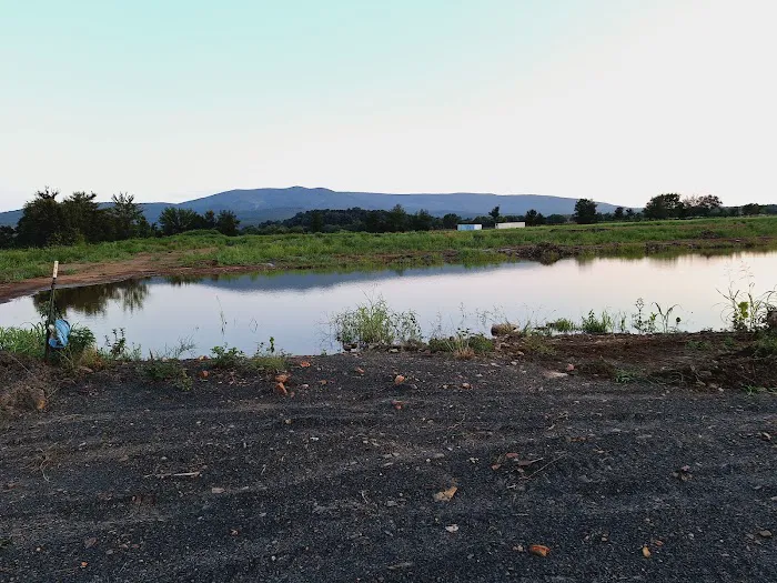STEPPIN' UP RV PARK, LLC 8