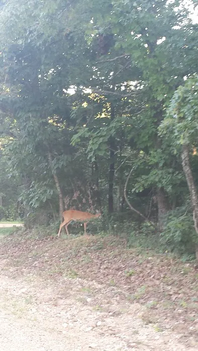 Whitesides Hidden Acres 5